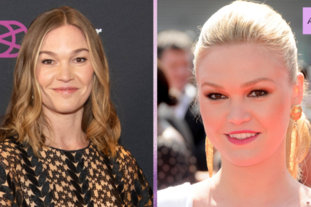 Julia Stiles Net Worth